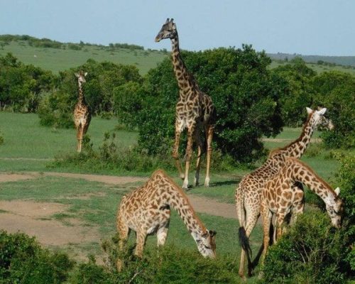 3 Days Safari Maasai village4