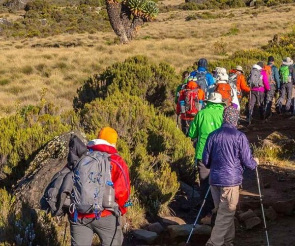 9 Days Lemosho Route1