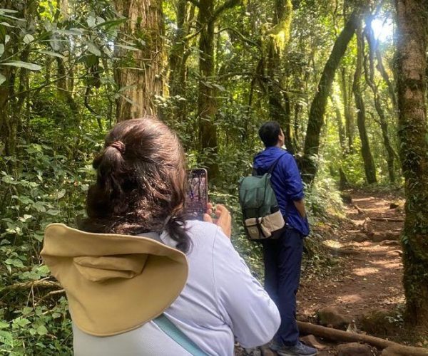 9 Days Lemosho Route4