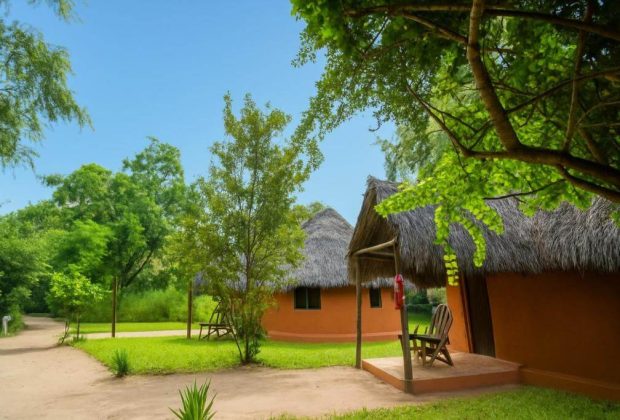 Africa Safari Lodge2